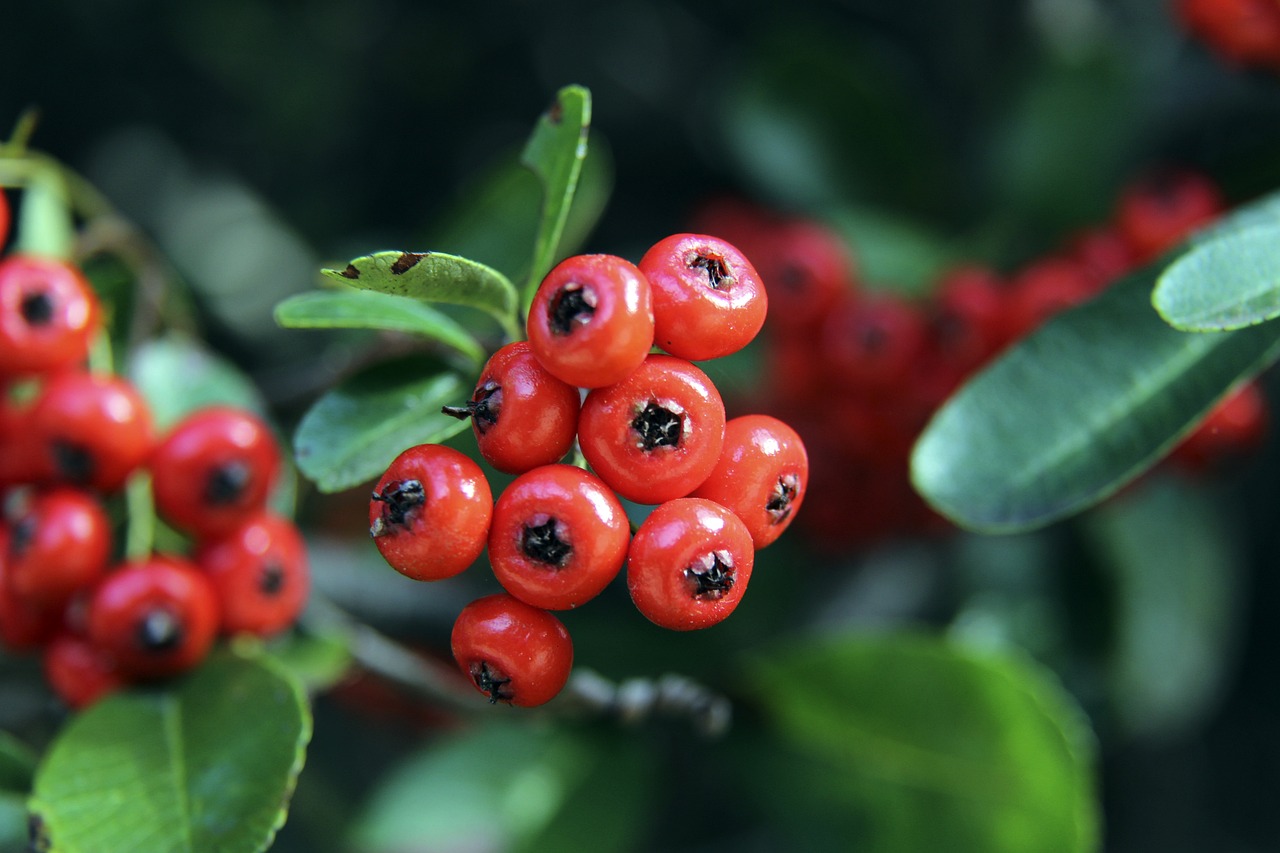 也让我们有 也让我们有