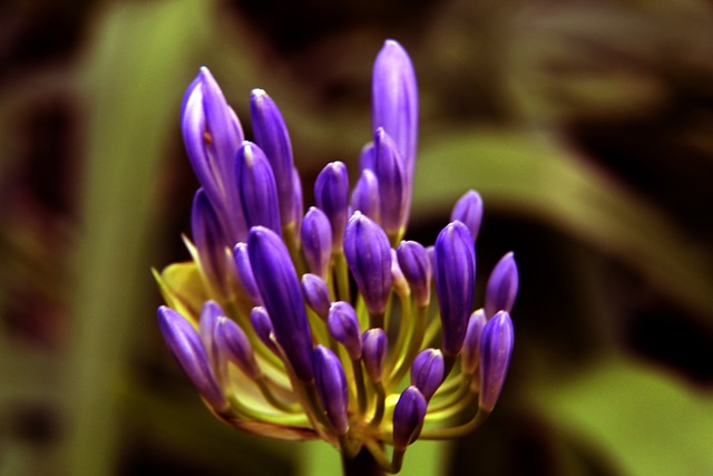 无疑是一个 无疑是一个