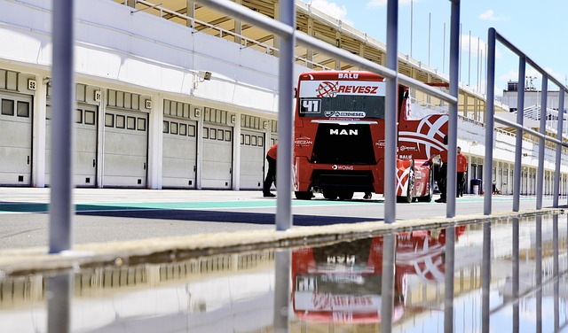 秩序和良好 秩序和良好