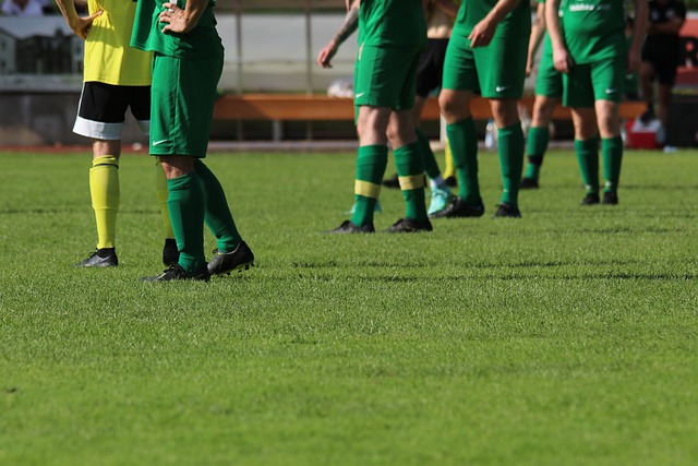 的引援获得 的引援获得