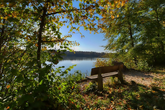 征程中的重 征程中的重