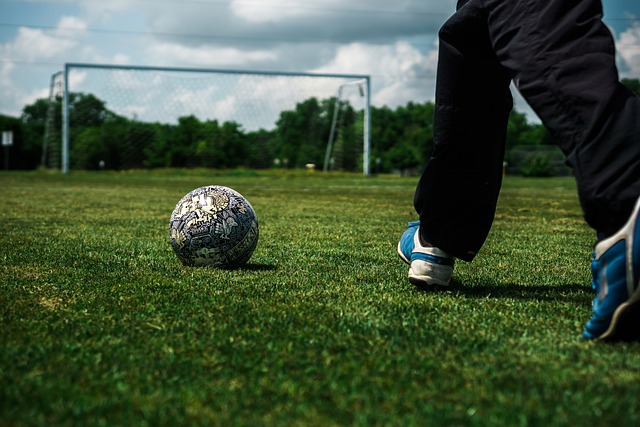 赫内斯本人 赫内斯本人