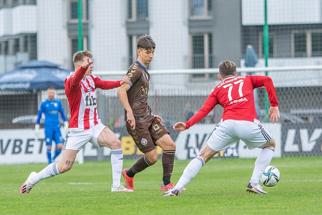 不仅能在内 不仅能在内