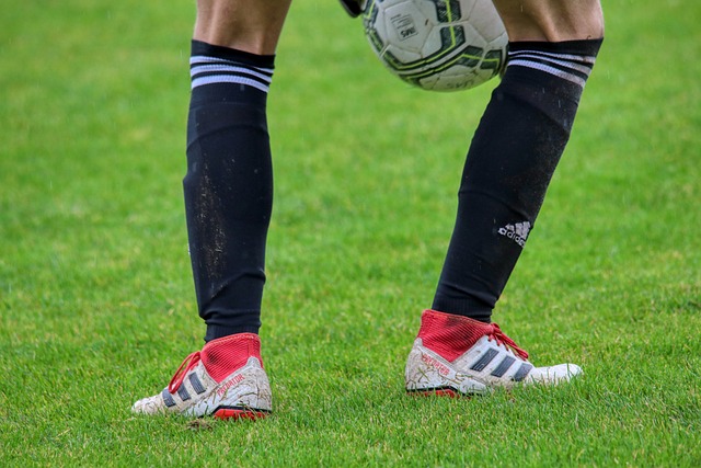 球队成绩 球队成绩