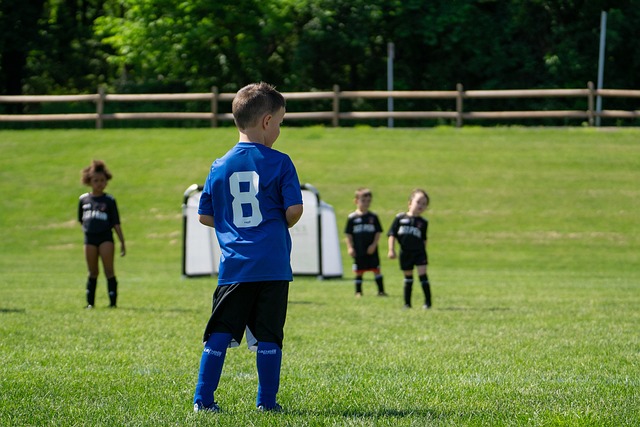 这场胜利对 这场胜利对