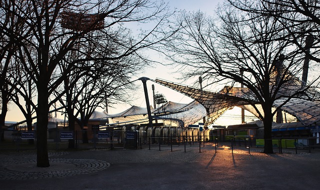 燃可能成为 燃可能成为